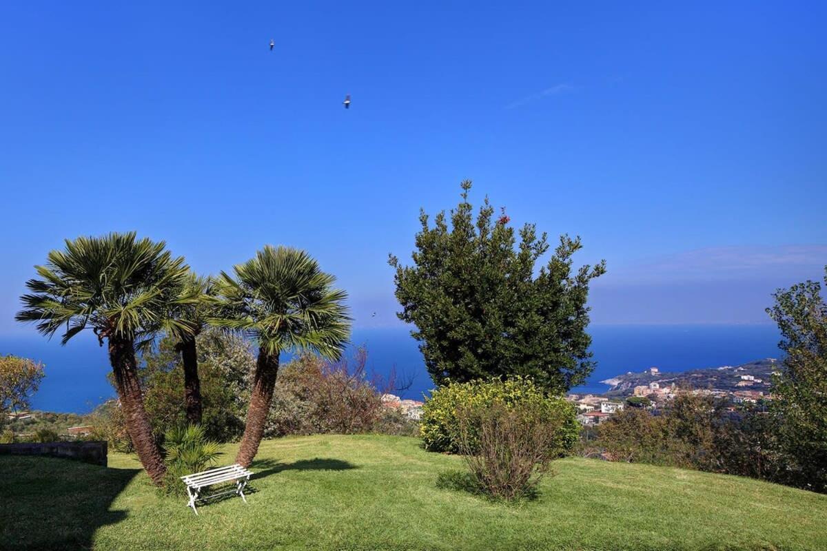 Fondo Turiello Villa Gardens Pool And Guest Services Massa Lubrense Kültér fotó